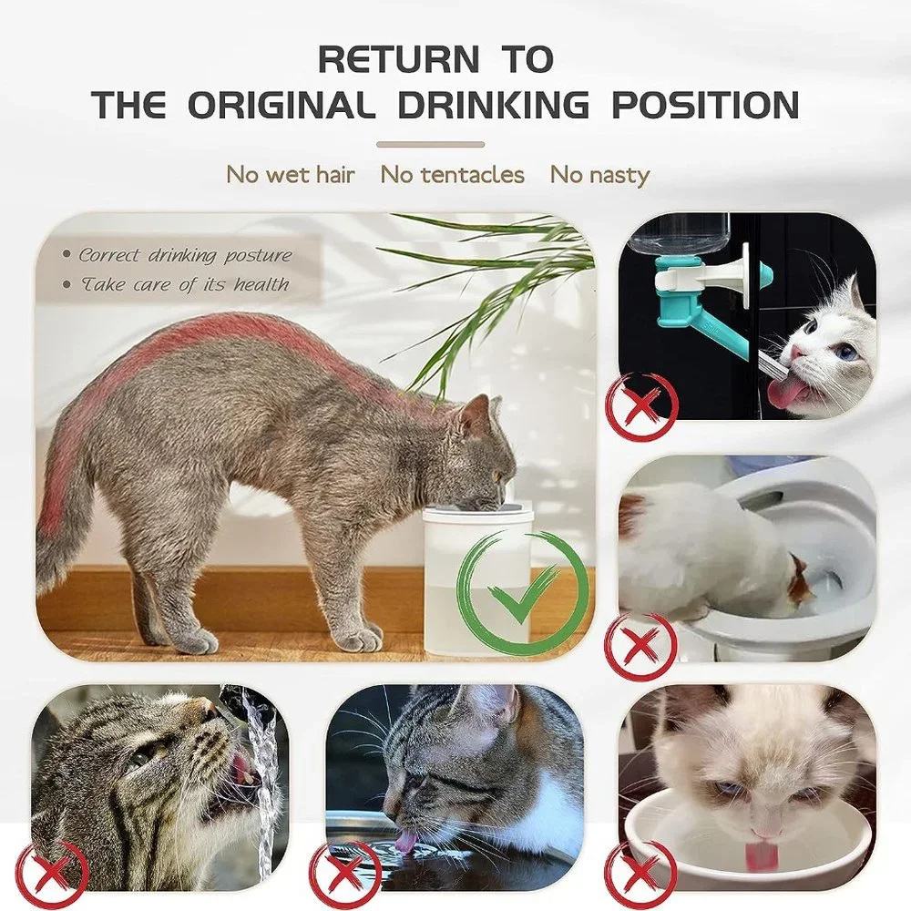 Battery Operated Cat Water Fountain Ultra-Quiet Automatic LED